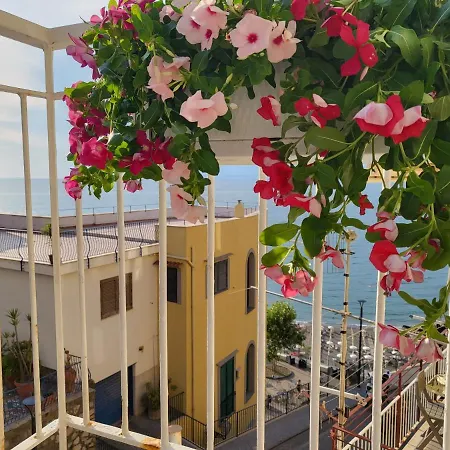 Bed & Breakfast Sea Shine
